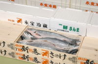 商品イメージ、鮭鱒、秋刀魚